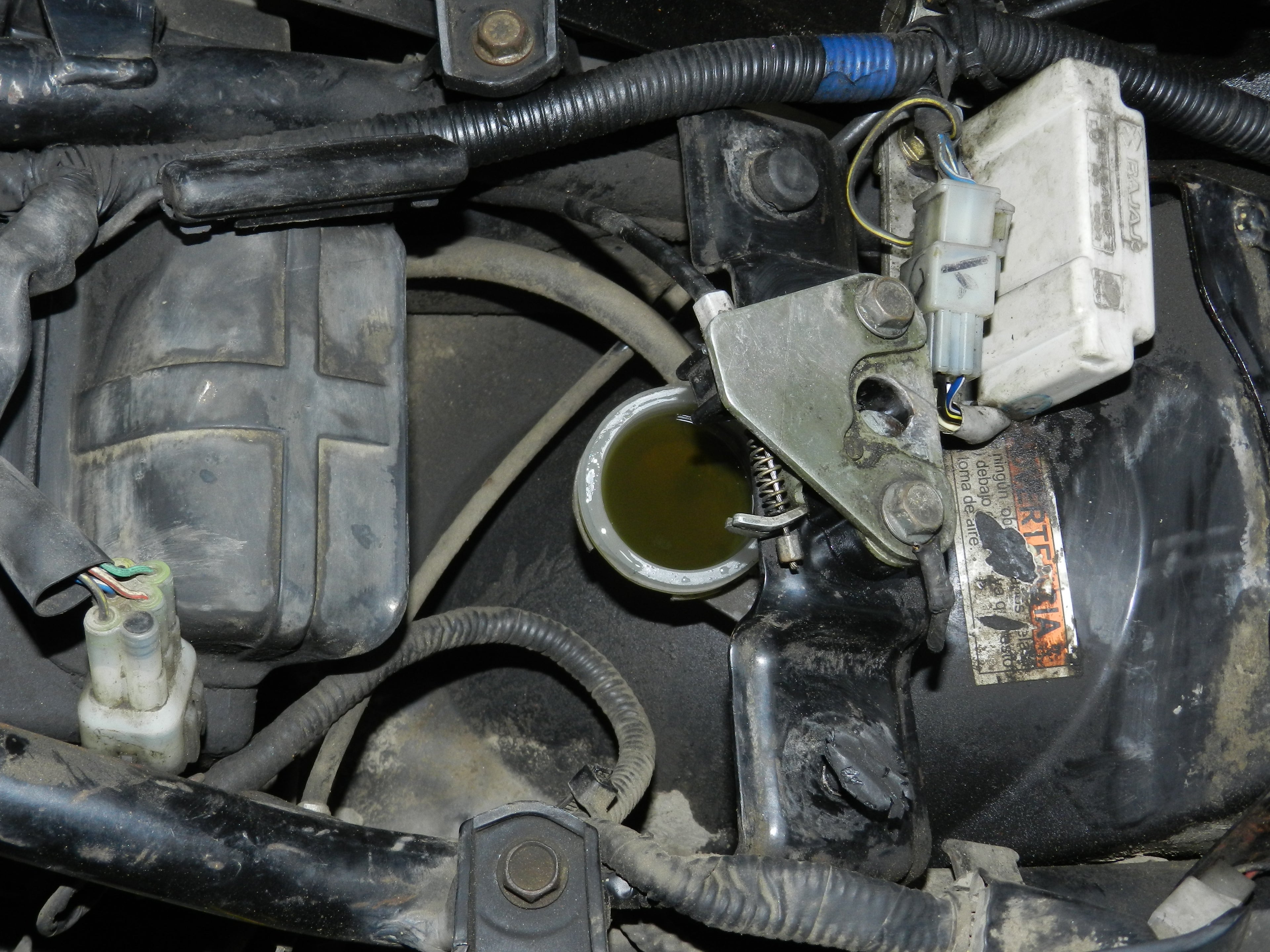 SERVICIO DE PURGA DE FRENOS